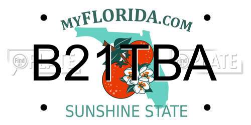 B21TBA Florida License Plate