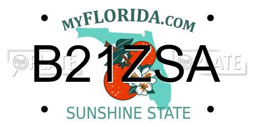 B21ZSA Florida License Plate