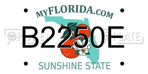 B2250E Florida License Plate