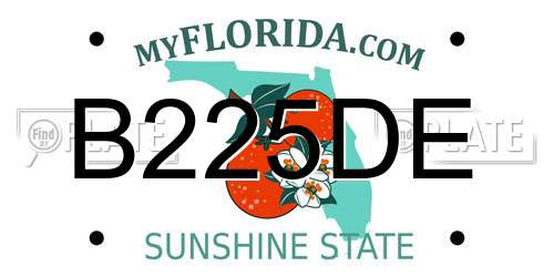 B225DE Florida License Plate