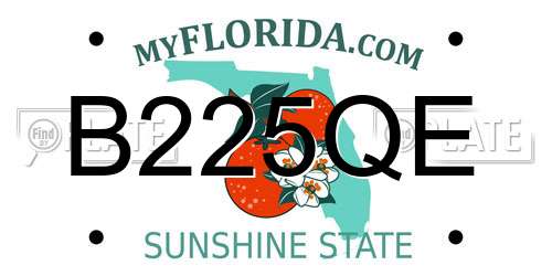 B225QE Florida License Plate
