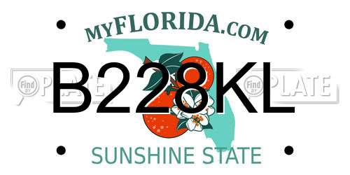 B228KL Florida License Plate