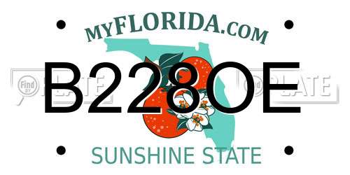 B228OE Florida License Plate