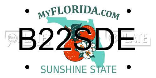 B22SDE Florida License Plate