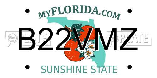B22VMZ Florida License Plate