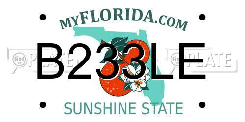 B233LE Florida License Plate