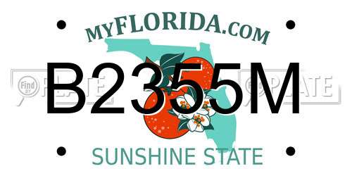 B2355M Florida License Plate