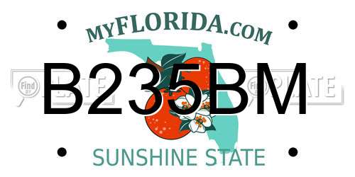 B235BM Florida License Plate