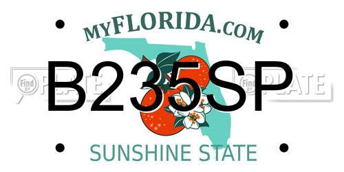 B235SP Florida License Plate