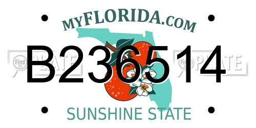 B236514 Florida License Plate