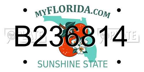 B236814 Florida License Plate