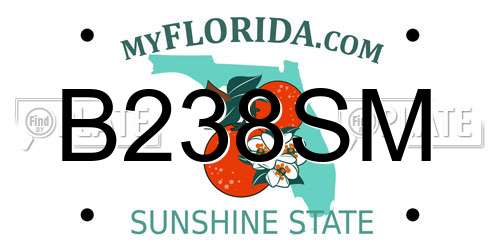 B238SM Florida License Plate