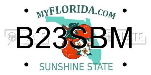 B23SBM Florida License Plate
