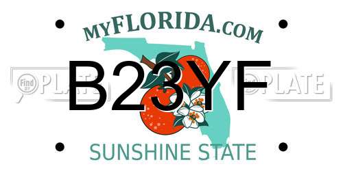 B23YF Florida License Plate