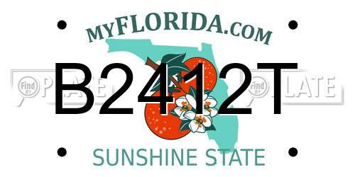 B2412T Florida License Plate