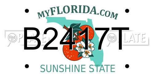 B2417T Florida License Plate