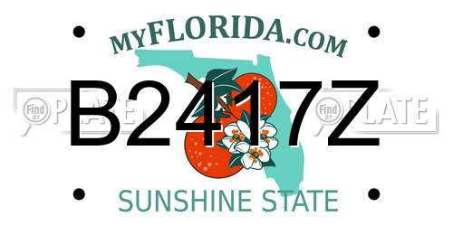 B2417Z Florida License Plate