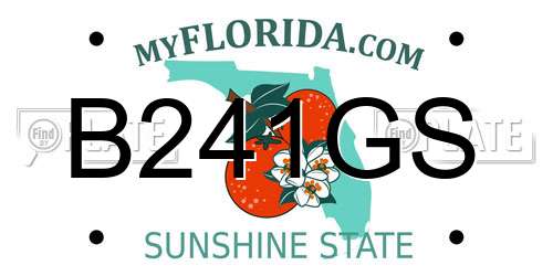 B241GS Florida License Plate
