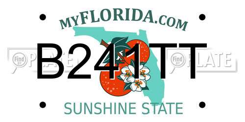 B241TT Florida License Plate