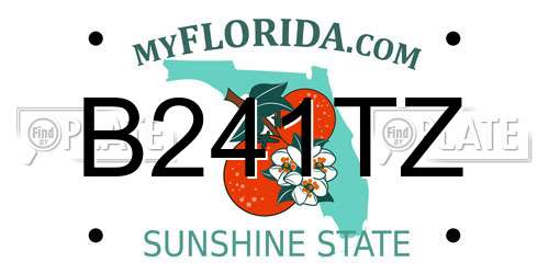 B241TZ Florida License Plate