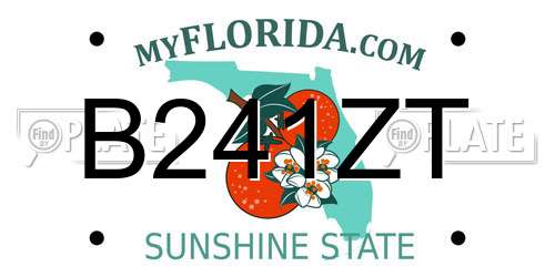 B241ZT Florida License Plate