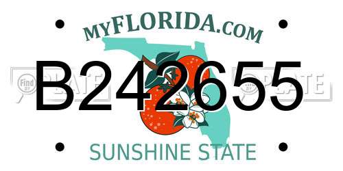 B242655 Florida License Plate