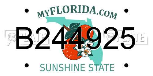 B244925 Florida License Plate