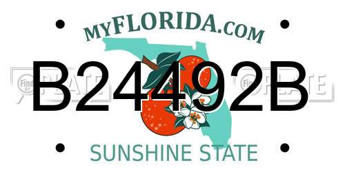 B24492B Florida License Plate