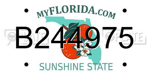 B244975 Florida License Plate