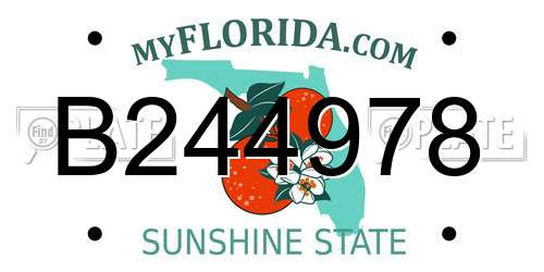 B244978 Florida License Plate