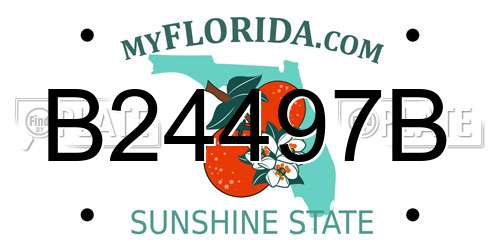 B24497B Florida License Plate