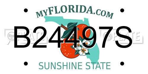 B24497S Florida License Plate