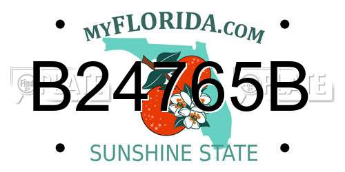 B24765B Florida License Plate