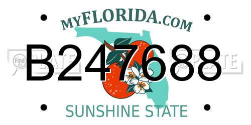 B247688 Florida License Plate