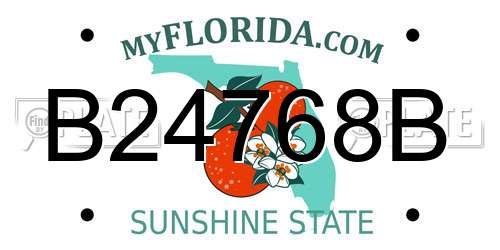 B24768B Florida License Plate