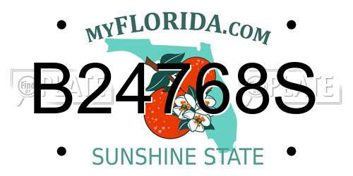 B24768S Florida License Plate