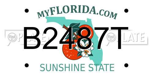 B2487T Florida License Plate