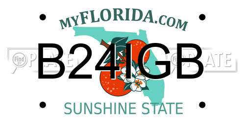 B24IGB Florida License Plate