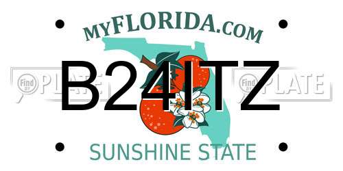 B24ITZ Florida License Plate