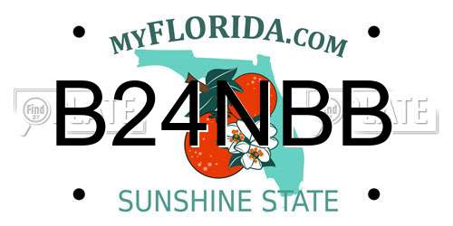 B24NBB Florida License Plate