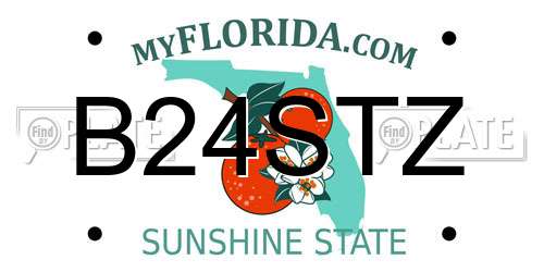 B24STZ Florida License Plate