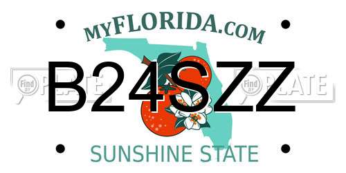 B24SZZ Florida License Plate