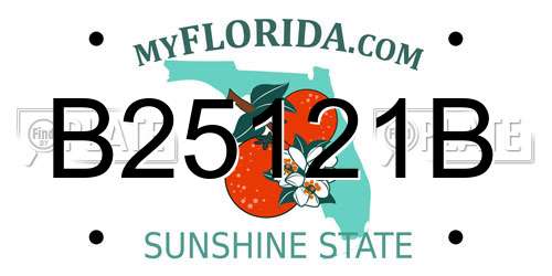 B25121B Florida License Plate