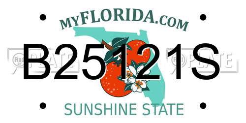 B25121S Florida License Plate