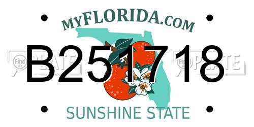 B251718 Florida License Plate