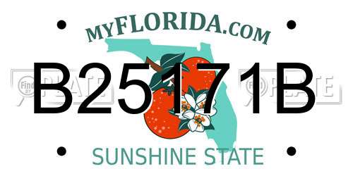 B25171B Florida License Plate