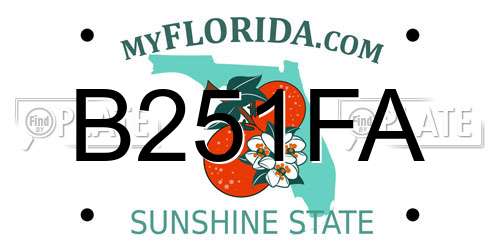 B251FA Florida License Plate