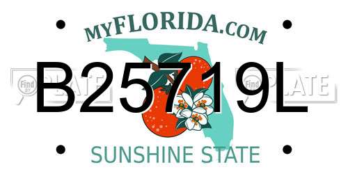 B25719L Florida License Plate