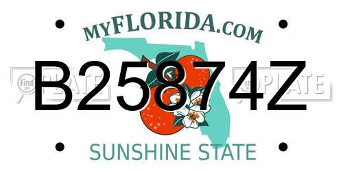 B25874Z Florida License Plate