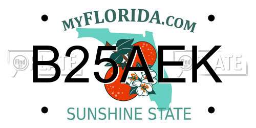 B25AEK Florida License Plate